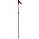 SUPER VIRAGE TELESCOPIC POLE RDK2000-0TU 2本セット [スキー ストック 伸縮式]