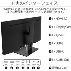 ヨドバシ.com - JAPANNEXT ジャパンネクスト JN-IPS29WFHDR-C65W [液晶