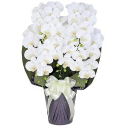 豪華版胡蝶蘭(造花) 5本立て ホワイト/パープル