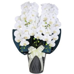 豪華版胡蝶蘭(造花) 5本立て ホワイト/ネイビー