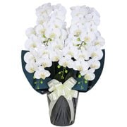 豪華版胡蝶蘭(造花) 5本立て ホワイト/ネイビー