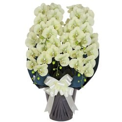 豪華版胡蝶蘭(造花) 5本立て グリーン/ネイビー