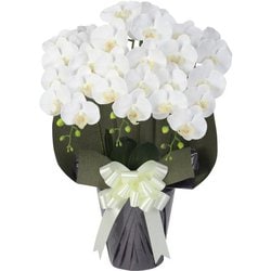 豪華版胡蝶蘭(造花) 3本立て ホワイト/パープル