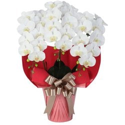 豪華版胡蝶蘭(造花) 3本立て ホワイト/ピンク