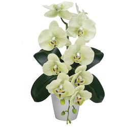 豪華版胡蝶蘭(造花) 1本立て グリーン