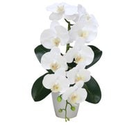 豪華版胡蝶蘭(造花) 1本立て ホワイト