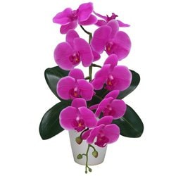 豪華版胡蝶蘭(造花) 1本立て パープル