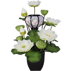 こもれび蓮 ほのか柄 白