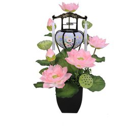 こもれび蓮 張特小 ピンク