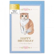 カード Minou 誕生日 フィル 4456304