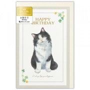 カード Minou 誕生日 ポール 4456305