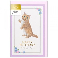 カード Minou 誕生日 ミミ 4456306