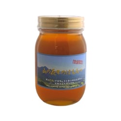 ヨドバシ.com - つかもと養蜂場 山の花々のはちみつ 600g 通販
