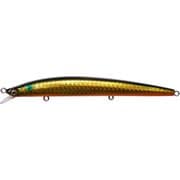 Cookai SLIM(空海スリム) 120 GG キンボラ