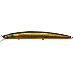 Cookai SLIM（空海スリム） 140 GG キンボラ