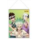 Dr.STONE B2タペストリー 石神千空＆あさぎりゲン＆クロム [キャラクターグッズ]