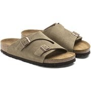 BIR-1009533 [ZURICH SFB Taupe 39]