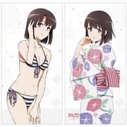 冴えない彼女の育てかた Fine 描き下ろしロングクッションカバー 加藤 恵 [キャラクターグッズ]