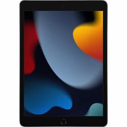 完動品iPad第9世代(A2902)本体64GBグレイWi-Fiモデル送料込○各種センサー