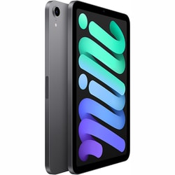 ラクマ購入　iPad mini6 Wi-Fi 256GB スペースグレー