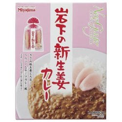 岩下の新生姜カレー 180g
