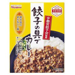 餃子の具でカレー 180g