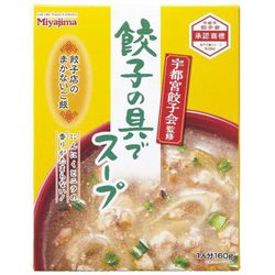 餃子の具でスープ 160g