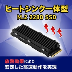 ヨドバシ.com - ネクストレージ Nextorage NEM-PA2TB/H [PS5対応 拡張