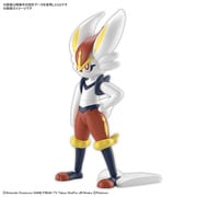 ポケモンプラモコレクション 50 セレクトシリーズ エースバーン [組立式プラスチックモデル]