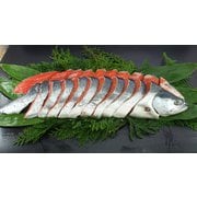 北洋産本紅鮭姿造り（うす塩）【冷凍】