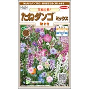 花絵の具 たねダンゴ ミックス（秋まき） 約10g1袋