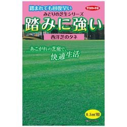 ヨドバシ Com サカタのタネ 踏みに強い芝生 0 5m2用 0 5平方メートル用1袋 通販 全品無料配達