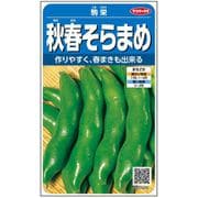 秋春そらまめ 駒栄 約6粒 1袋