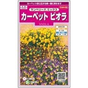 カーペットビオラ サンベリーナ ミックス 1袋