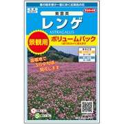 景観用大袋 レンゲ 紫雲英 1袋