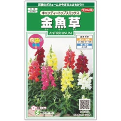 金魚草 キャンディートップスミックス 1袋