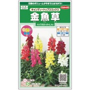 金魚草 キャンディートップスミックス 1袋