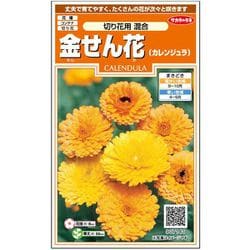 金せん花 切り花用混合 1袋