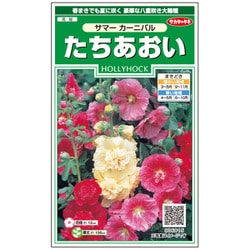 たちあおい サマーカーニバル 1袋