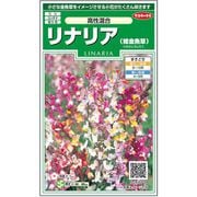 リナリア（姫金魚草）高性混合 1袋