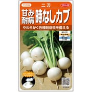 甘み耐病時なしカブ 二刀 1袋