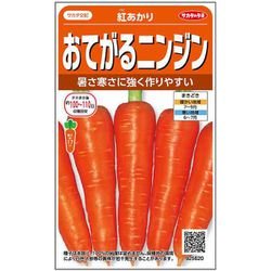 おてがるニンジン 紅あかり 1袋