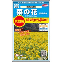 景観用大袋 菜の花（ハナナ）寒咲系混合 1袋