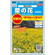 景観用大袋 菜の花（ハナナ）寒咲系混合 1袋