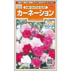 カーネーション シャボージャイアントミックス 1袋