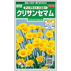 クリサンセマム アップライトイエロー 1袋
