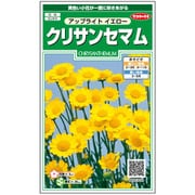 クリサンセマム アップライトイエロー 1袋