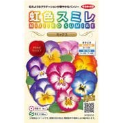 虹色スミレ ミックス 1袋