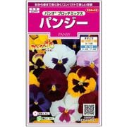 パンジー パシオ ブロッチミックス 1袋