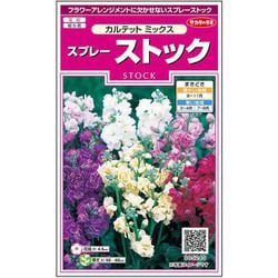 スプレーストック カルテットミックス 1袋